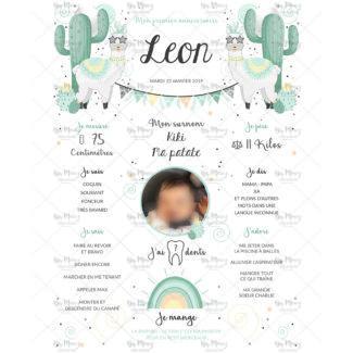 MMEZ CREAZIONI - AFFICHE ANNIVERSAIRE PERSONNALISE LAMA & MINT