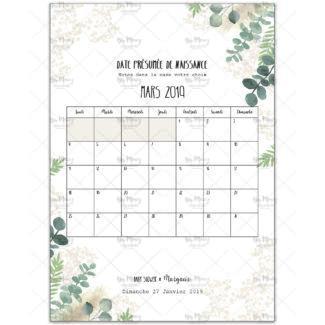 MMEZ CREAZIONI - AFFICHE BABY SHOWER PERSONNALISE EUCALYPTUS - JEUX CALENDRIER -1