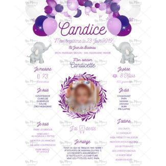 MMEZ CREAZIONI - AFFICHE BAPTEME PERSONNALISEE ELEPHANT & ARCHE DE BALLONS VIOLET