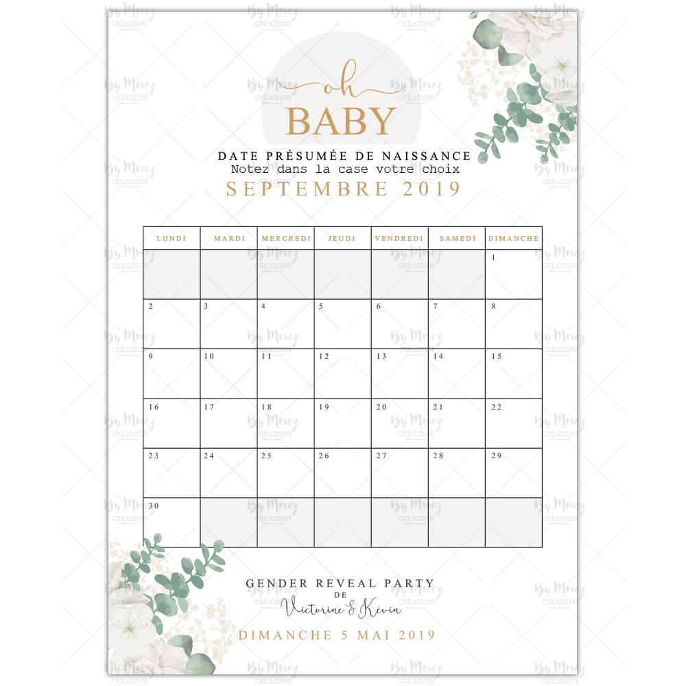 Jeu Calendrier Gender Reveal Party Personnalisee Theme Epure Eucalyptus Mmez Creazioni