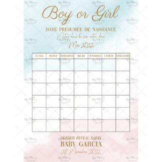 MMEZ CREAZIONI - AFFICHE BABY SHOWER PERSONNALISE AQUARELLE ROSE & BLEU - JEU CALENDRIER